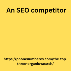  An SEO competitor